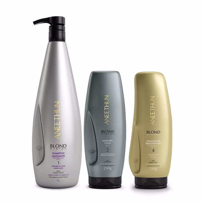Kit Aneethun Blond System - Shampoo Matizante 1L + Máscara Cinza 250g + Finalizador Termoativado 250g
