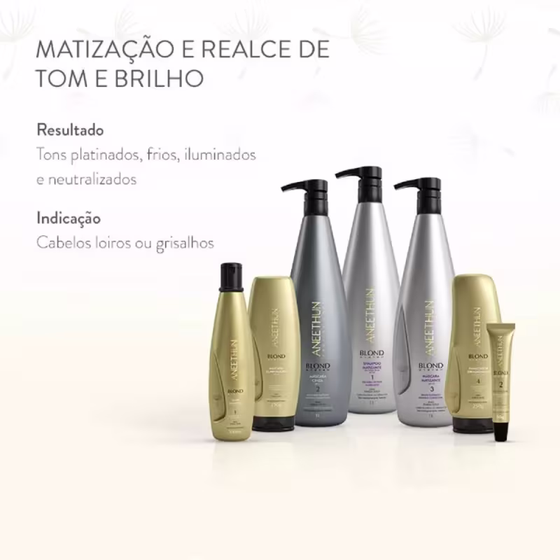 Kit Aneethun Blond System - Shampoo Matizante 1L + Máscara Iluminadora 250g + Finalizador Termoativado 250g