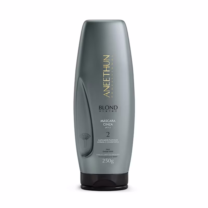 Kit Aneethun Blond System Shampoo Matizante 1L + Máscara Matizante 250g + Máscara Cinza 250g