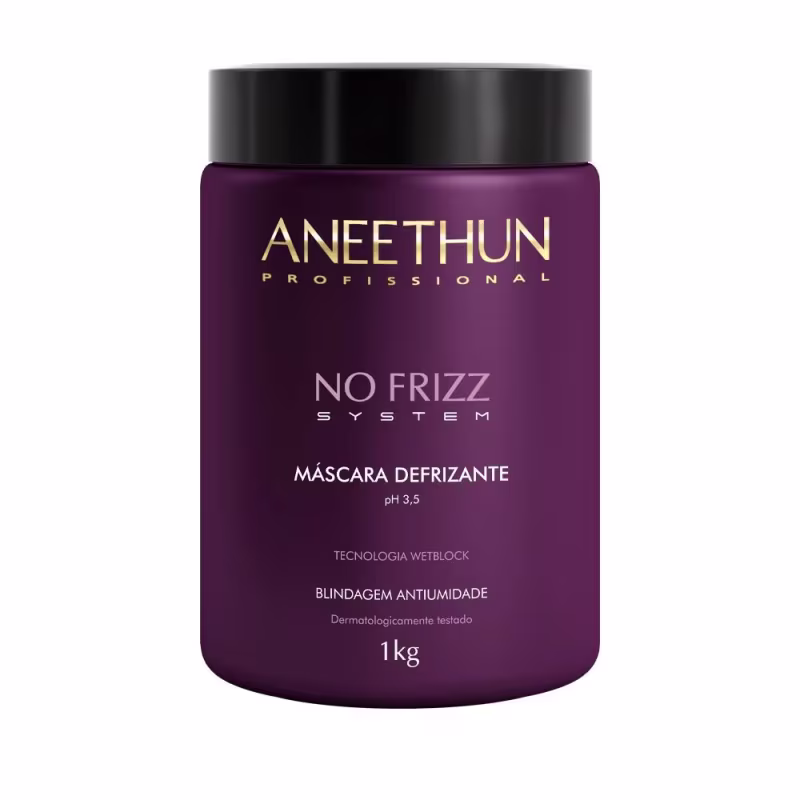 Kit Aneethun No Frizz - Máscara 1Kg + Leave In Selante 120ml