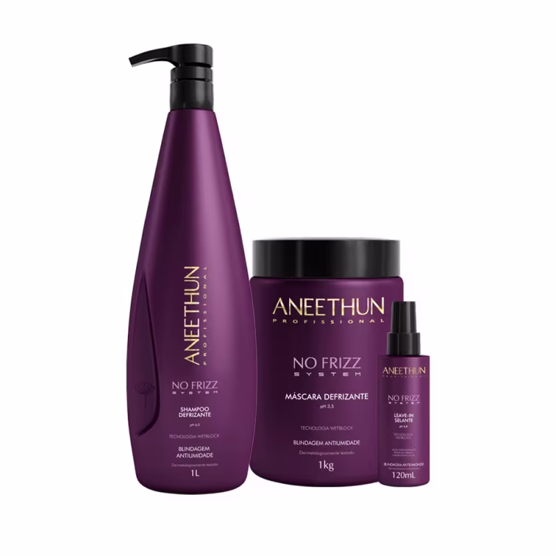 Kit Aneethun No Frizz - Shampoo 1L + Máscara 1Kg + Leave In Selante 120ml