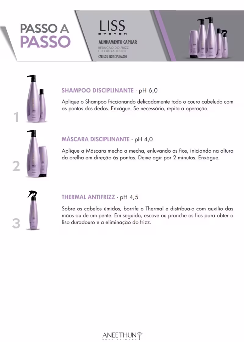 Kit Aneethun Liss System Liso Impecável (4 Produtos)