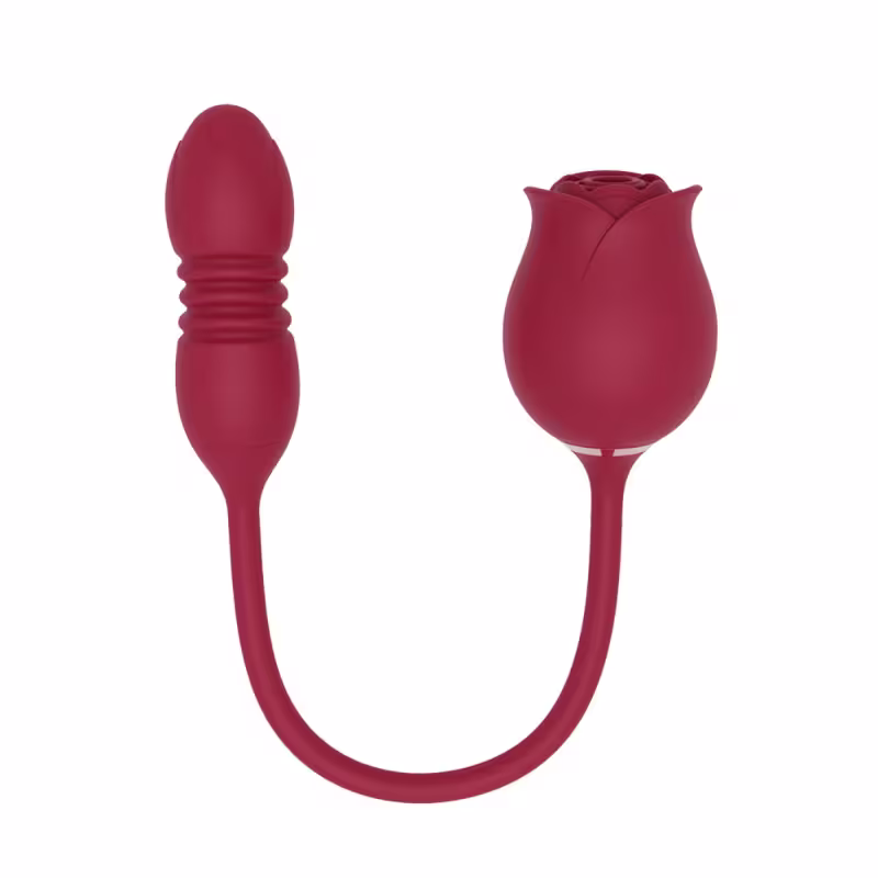 Rosa Sugador de Clitóris e Vibrador Vai e Vem 10 Modos de Vibração em Silicone Recarregável