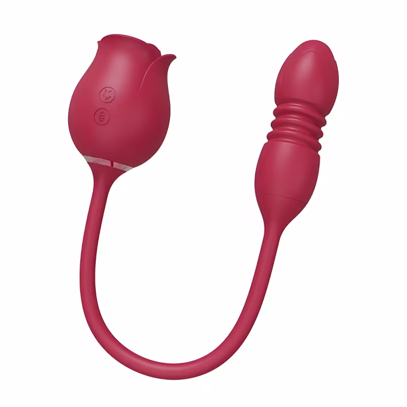 Rosa Sugador de Clitóris e Vibrador Vai e Vem 10 Modos de Vibração em Silicone Recarregável