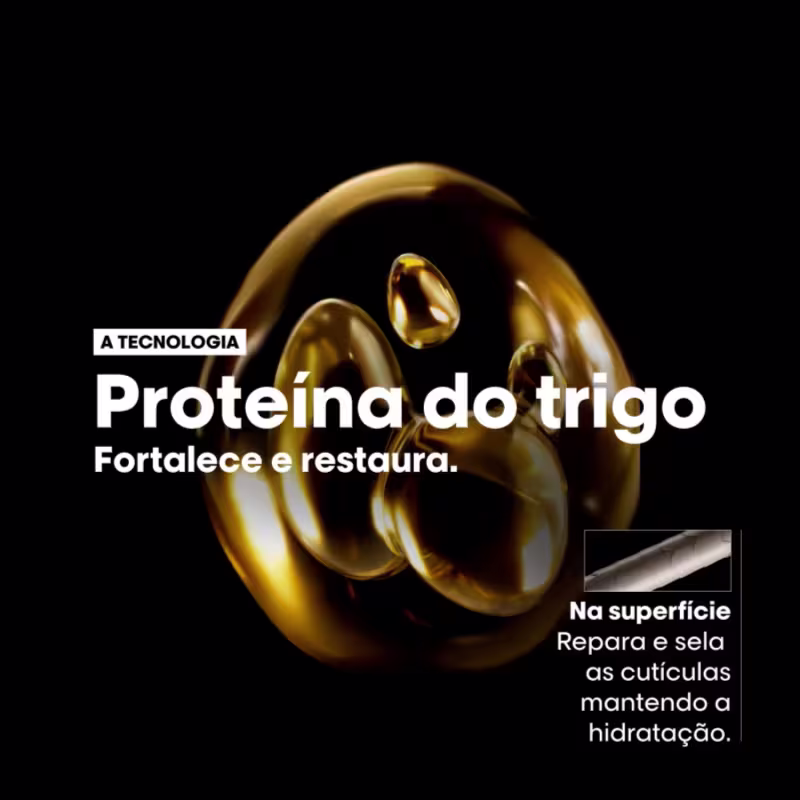 Kit L'Oréal Professionnel Absolut Repair Protein + Omega-9 Vitamino Color Salon (4 Produtos)