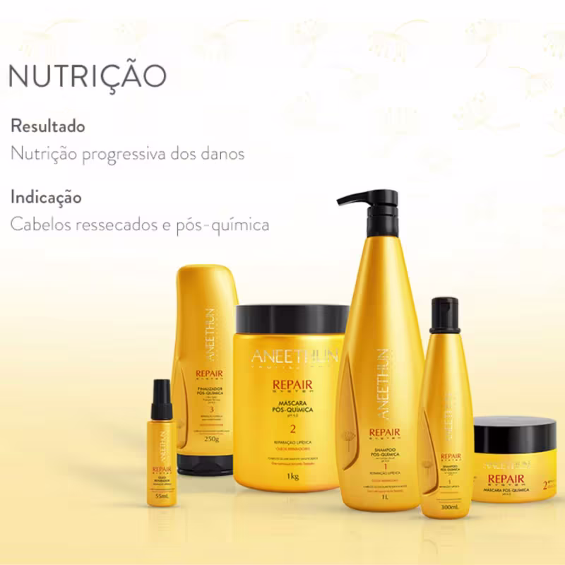 Kit Repair Aneethun - Finalizador, Mascara E Oleo Reparador