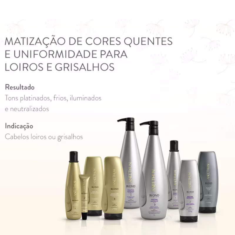 Kit Shampoo Máscara Aneethun Matizante Litro e Escova Beauty