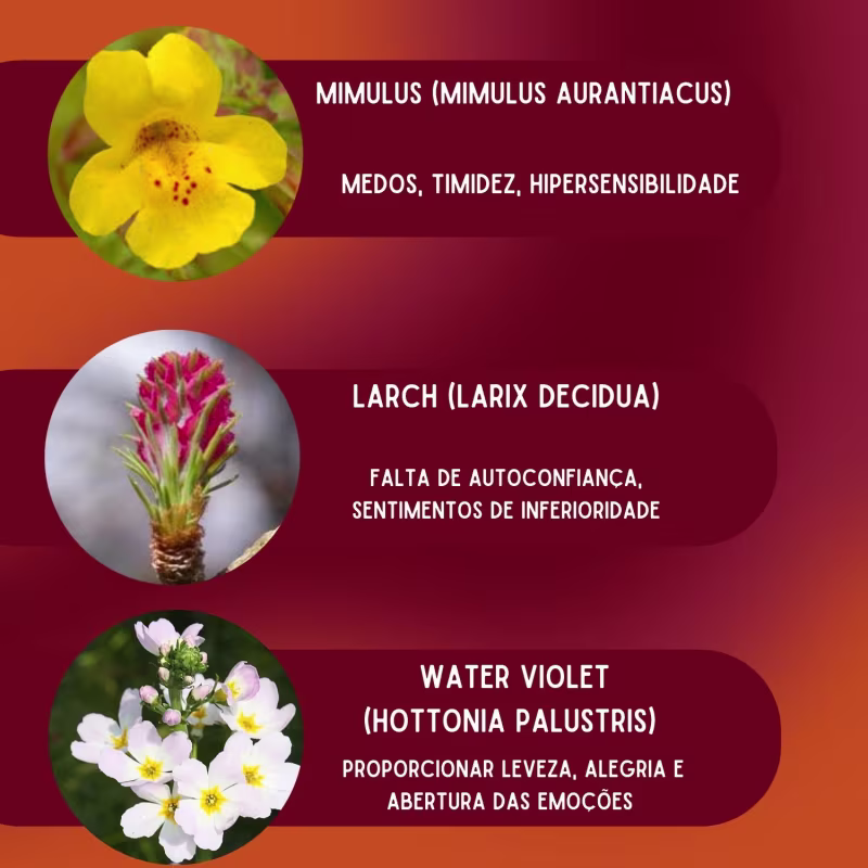 Floral De Bach Kids Comunicamais - Comunicacao 30ml