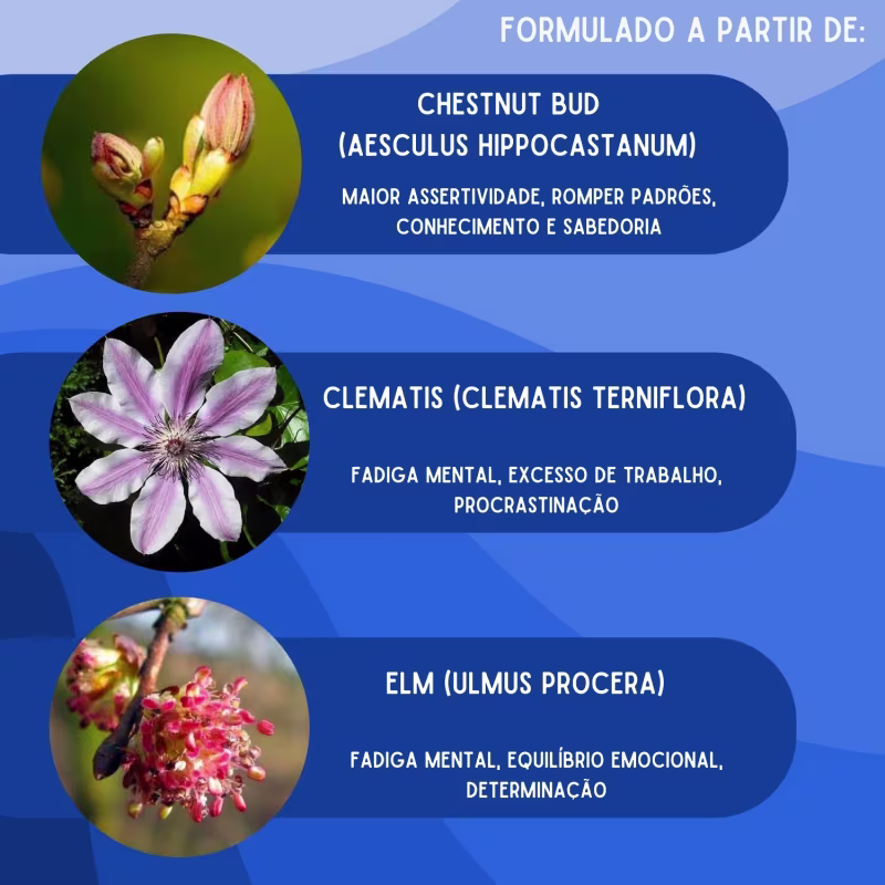 Floral de bach Lembrasim  Concetração e Memoria 30ml