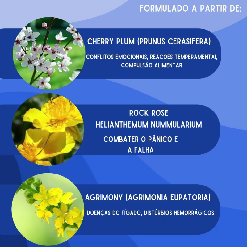 Floral De Bach Paniczen - Sentimento De Autocontrole 30ml