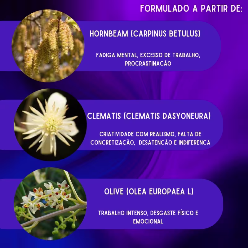 Floral De Bach Vigormais - Energia Fisica E Mental 30ml