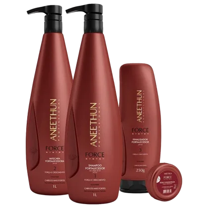 Kit com shampoo, máscara, finalizador e dose fortalecedora Force System, da marca Aneethun.