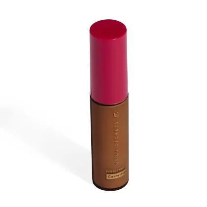 Imagem do produto Corretivo Niina Secrets Perfect Match Cor 95 10ml