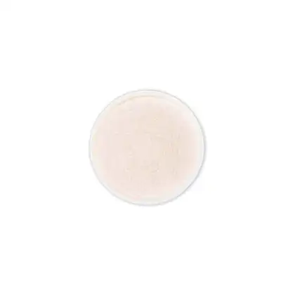 Imagem do produto Pó Solto Light – HOSHI MAKEUP