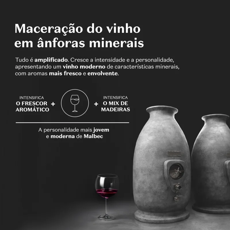 A imagem mostra duas ânforas de cerâmica cinza com símbolos gravados, uma taça de vinho contendo um líquido vermelho. O texto explica que um processo que intensifica o frescor aromático e o mix de madeiras, resultando em um vinho moderno e jovem.