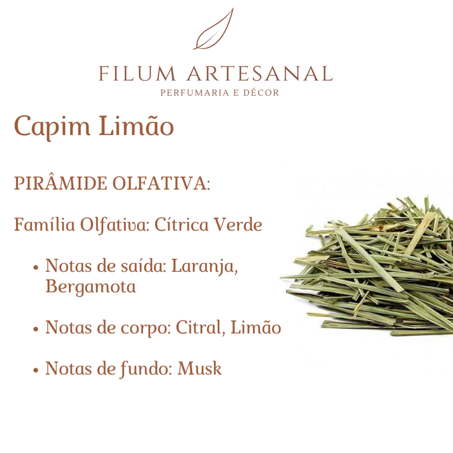 Filum Artesanal Home Spray de Ambiente Capim Limão 200ml