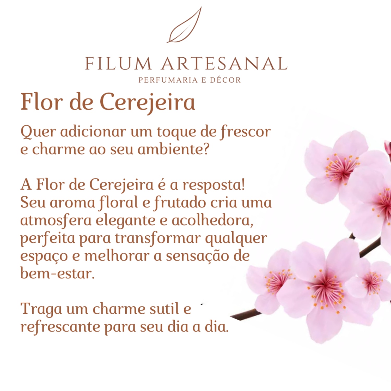 Filum Artesanal Vela Aromática Perfumada Cereja Ambarada 140g