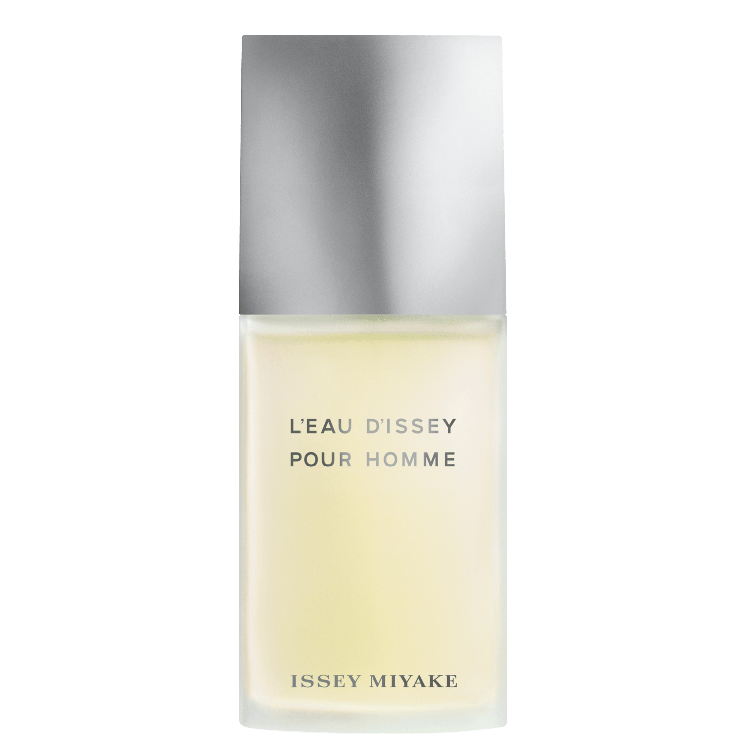 L'Eau D'Issey Pour Homme Issey Miyake Eau de Toilette - Perfume Masculino 200ml