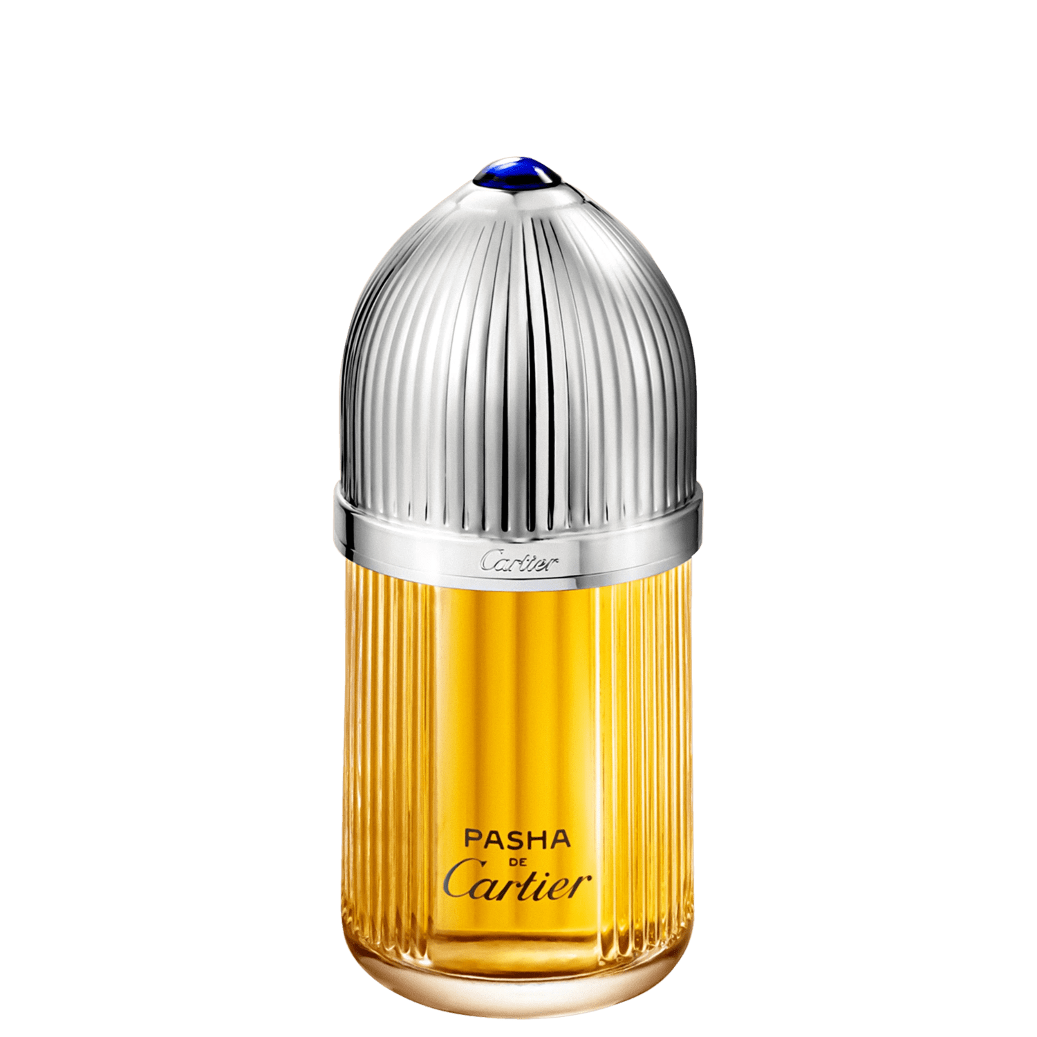 Pasha Cartier Parfum - Perfume Masculino 100ml