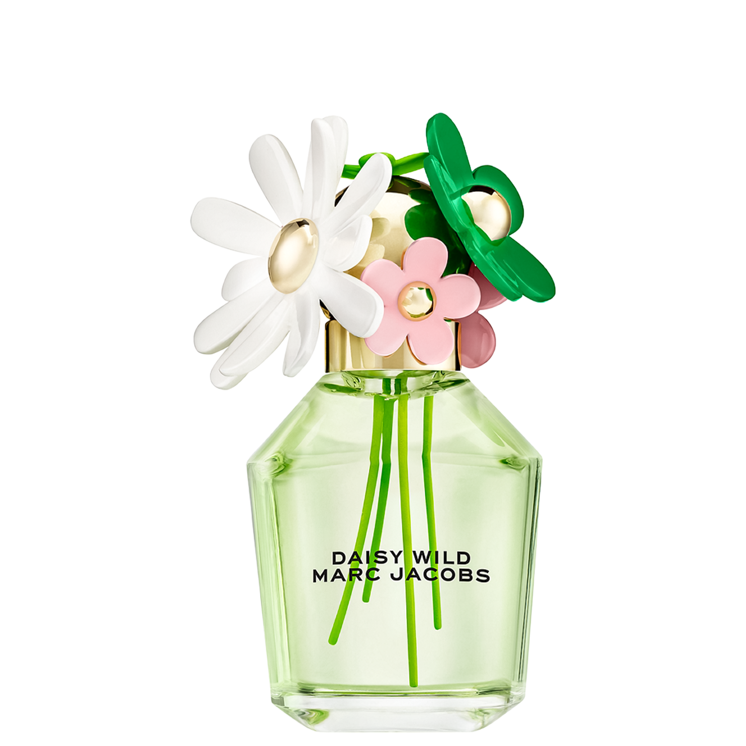 Daisy Wild Marc Jacobs Eau de Parfum - Perfume Feminino 100ml