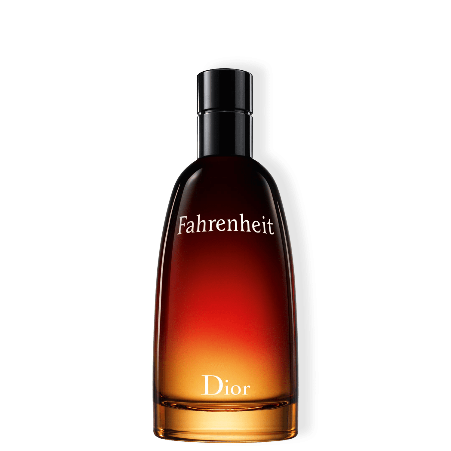 Fahrenheit Dior Eau de Toilette - Perfume Masculino 100ml