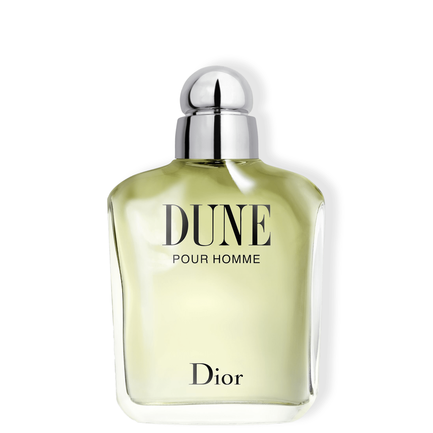 Dune Pour Homme Dior Eau de Toilette - Perfume Masculino 100ml