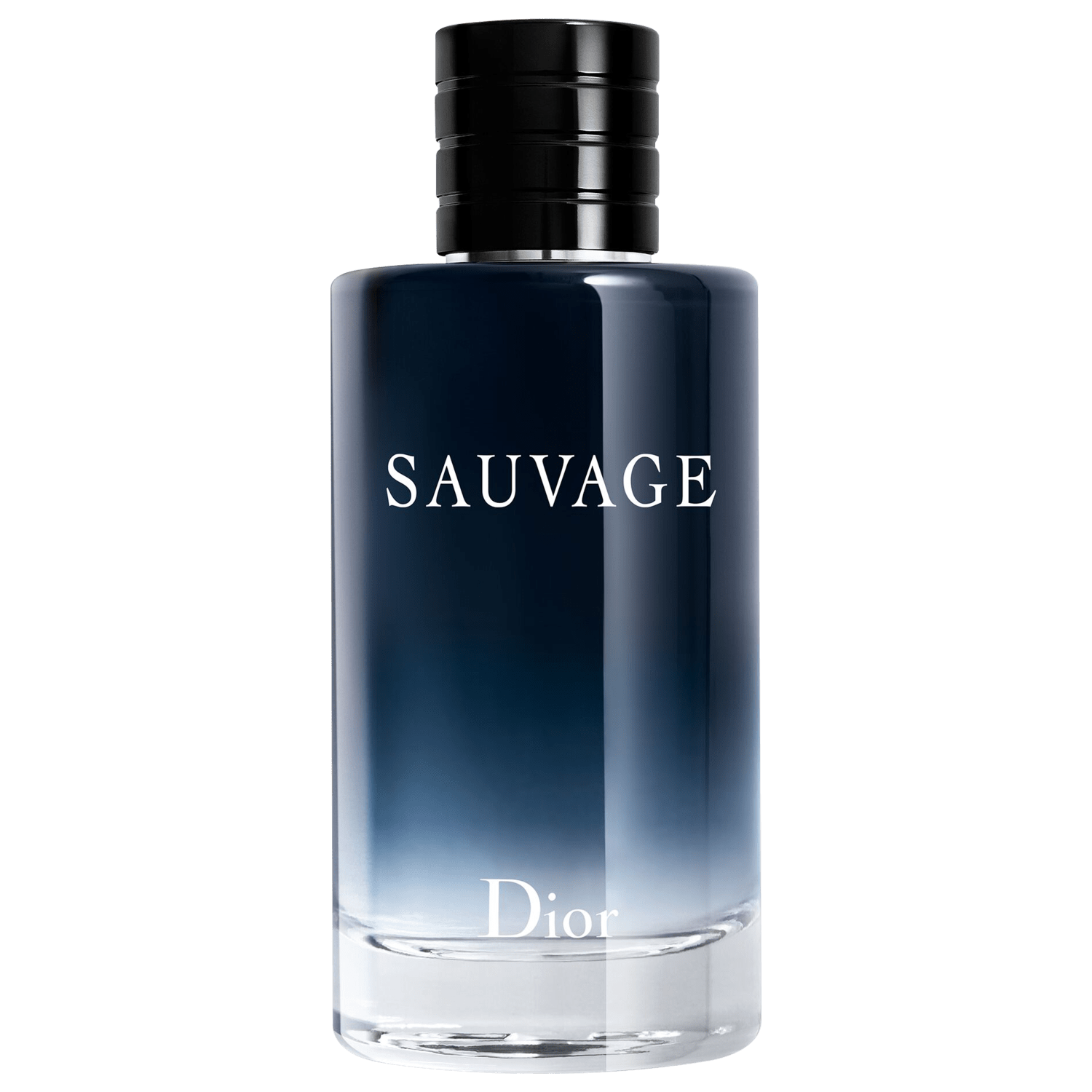 Sauvage Dior Eau de Toilette - Perfume Masculino 200ml