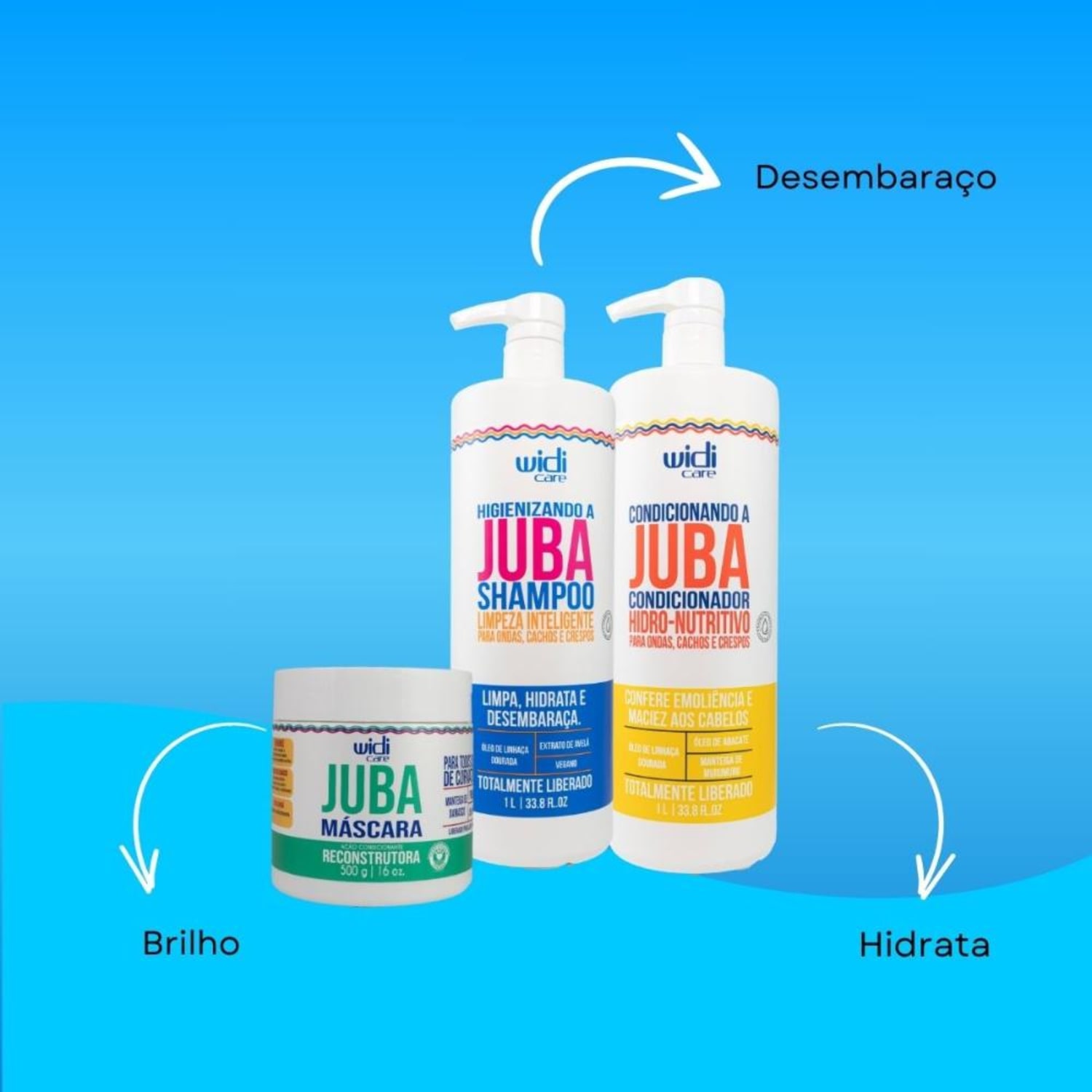 Widi Care Juba Kit Reconstrução Salão 3 Produtos