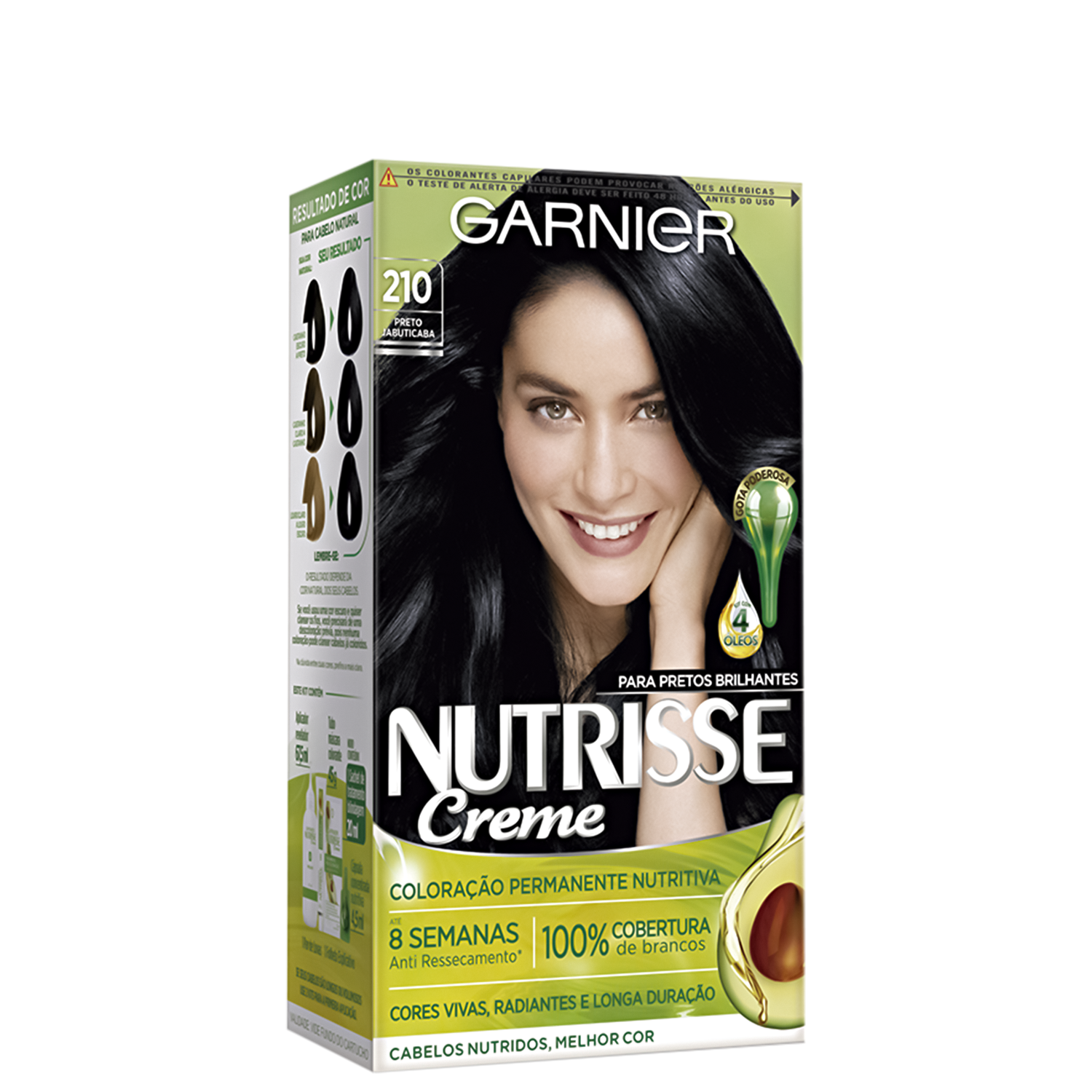 Garnier Nutrisse Creme 210 Preto Jabuticaba - Coloração