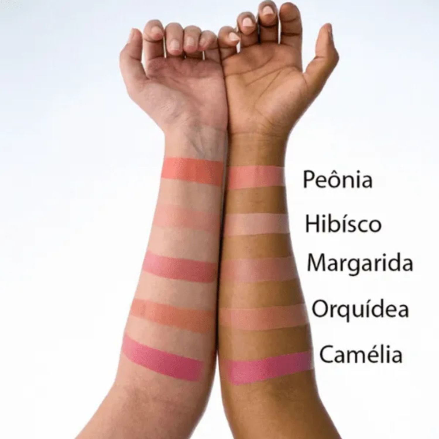 Blush Margaripetala Maria Margarida Cores:Orquídea