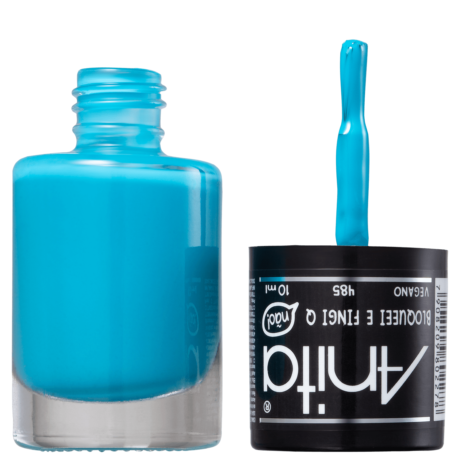 Anita Coisas Que Eu Já Fiz Bloqueei e Fingi Que Não Vi 485 - Esmalte 10ml