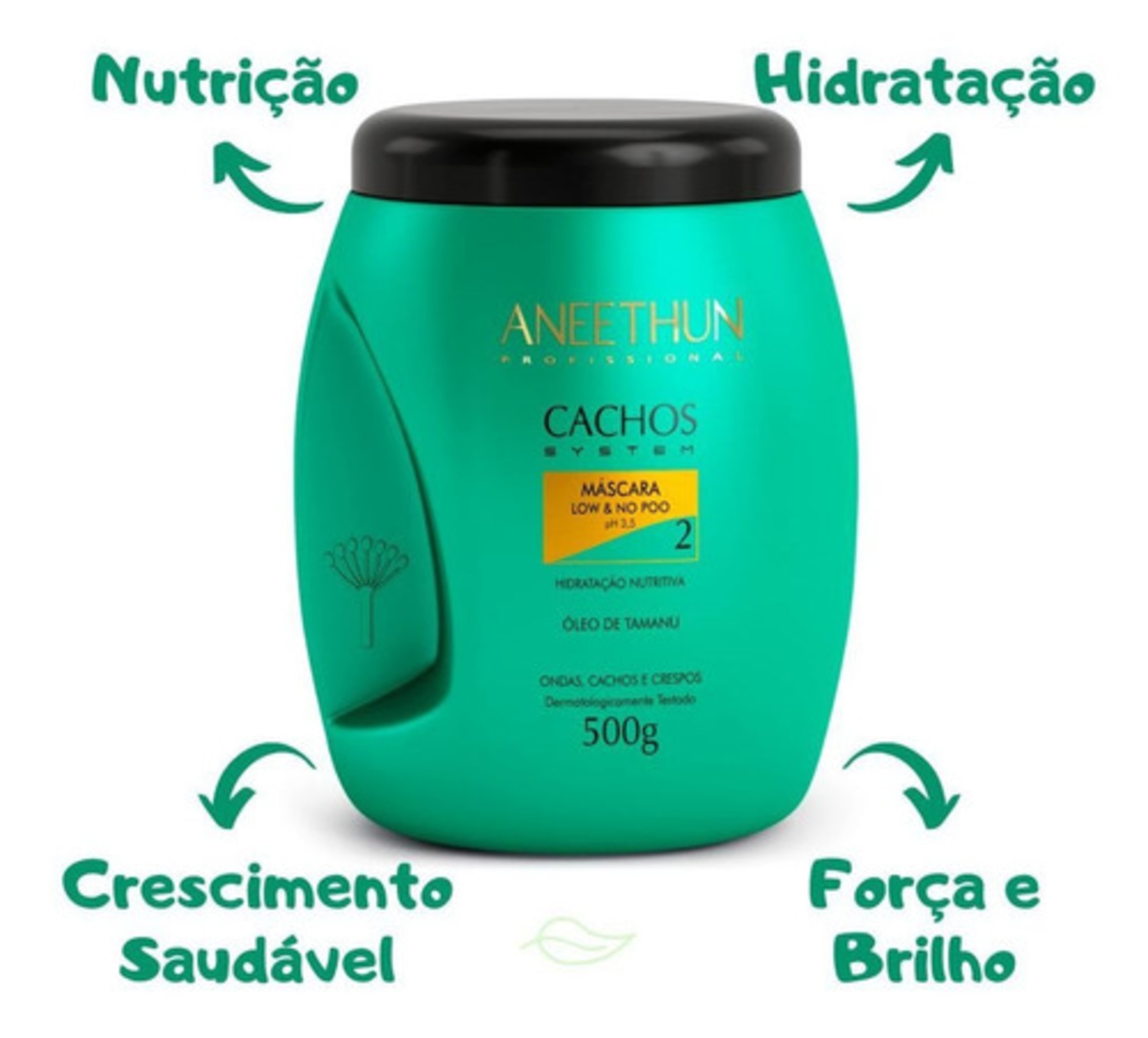 Aneethun Cachos System Co Wash, Máscara E Finalizador Ondas