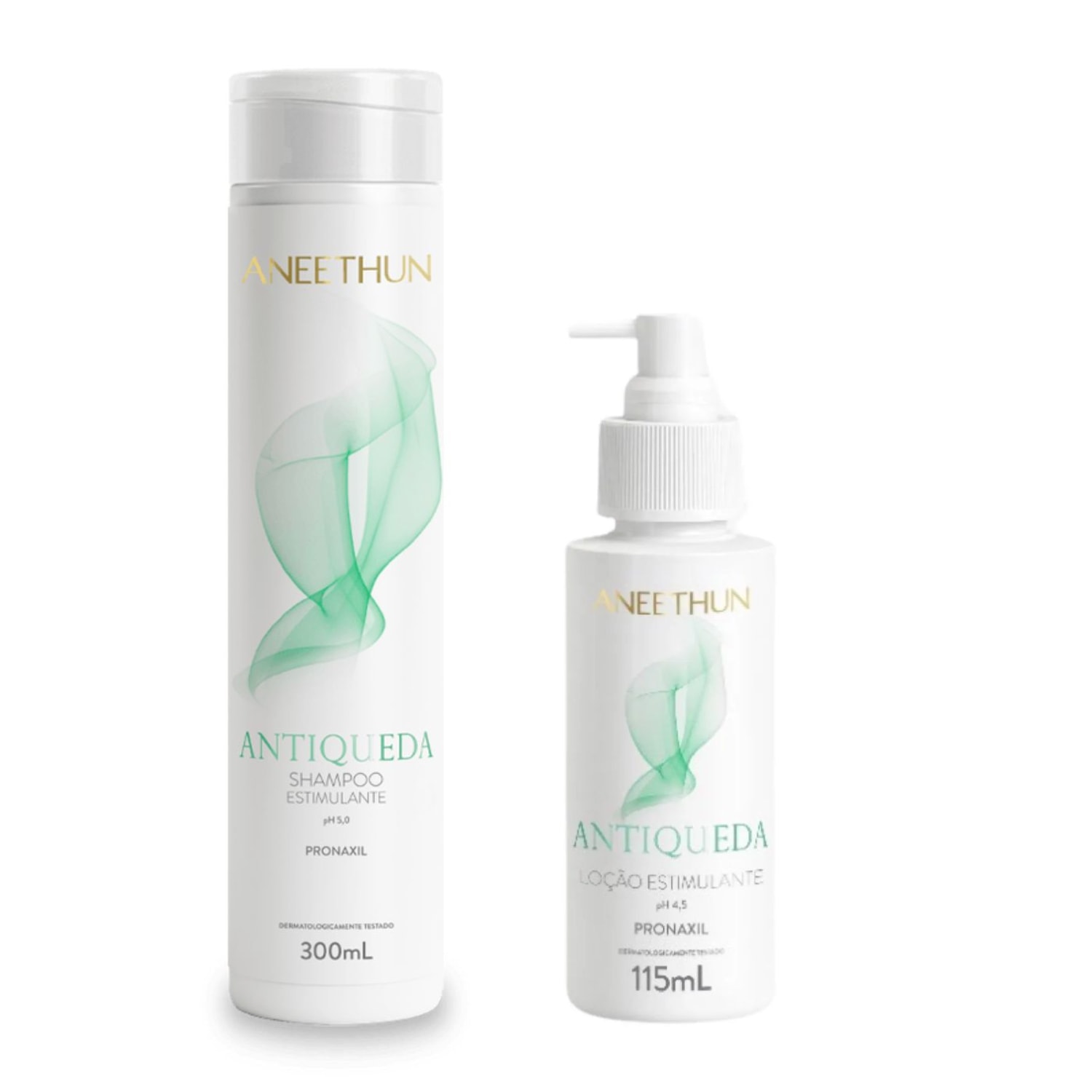 Aneethun Duo Antiqueda (Shampoo 300ml + Loção 115ml)