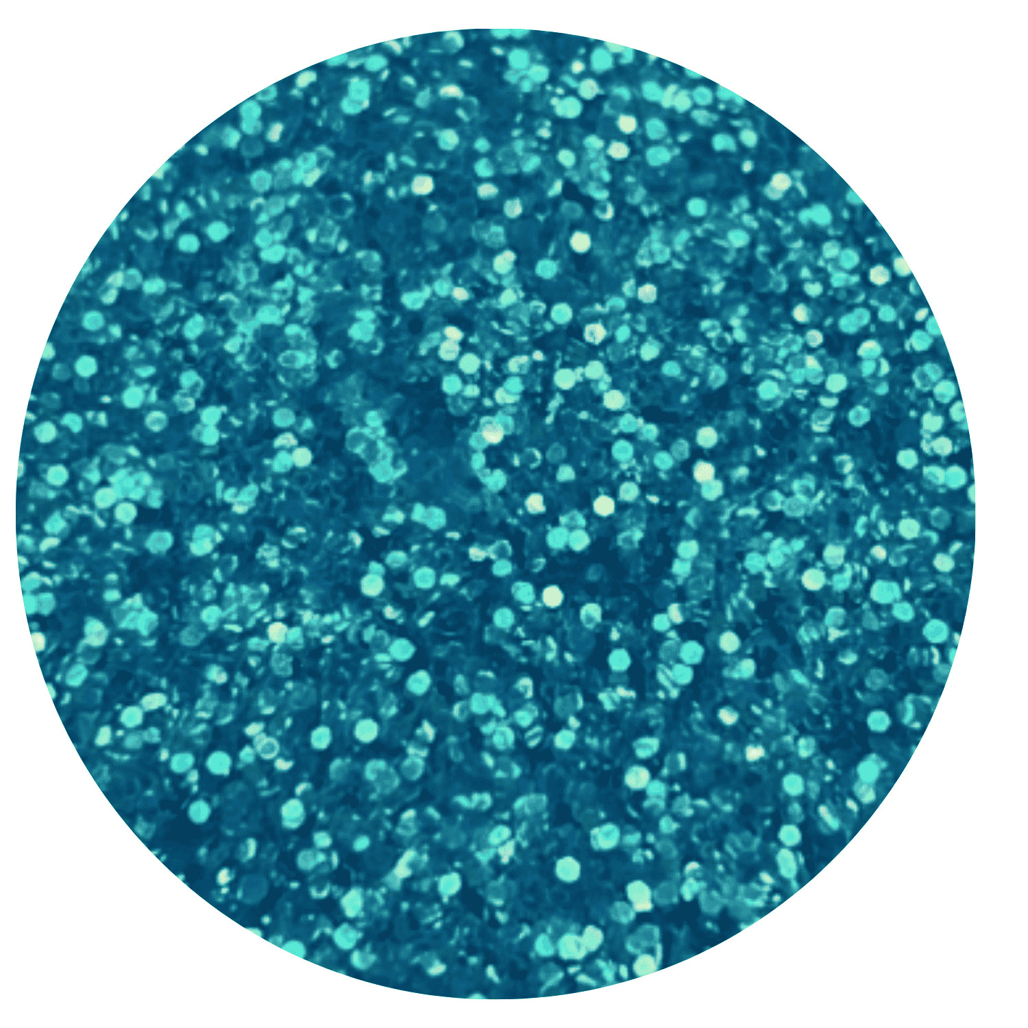 Glitter Holográfico Flocado Azul Piscina 3g