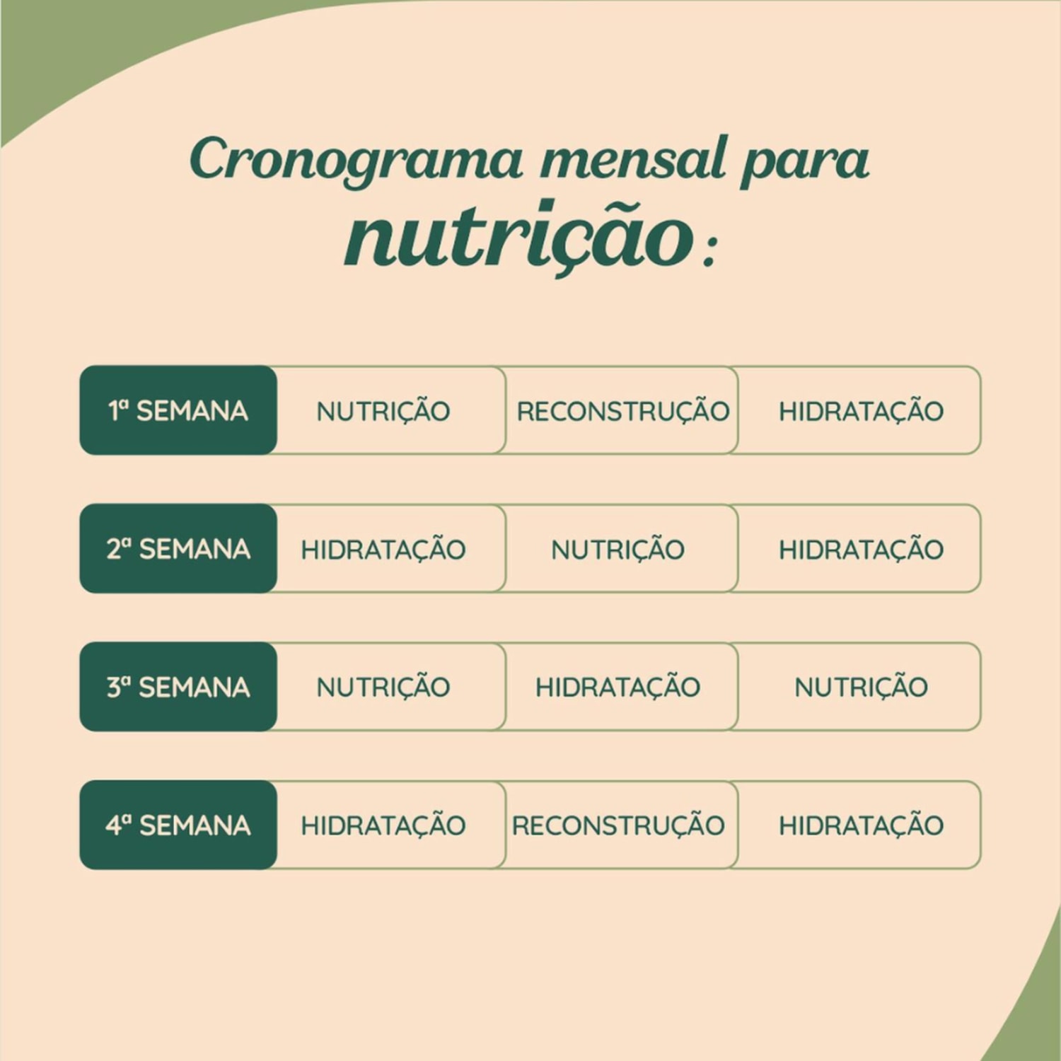Cronograma Haskell Quina Rosa + Murumuru+ Cavalo Forte 300g