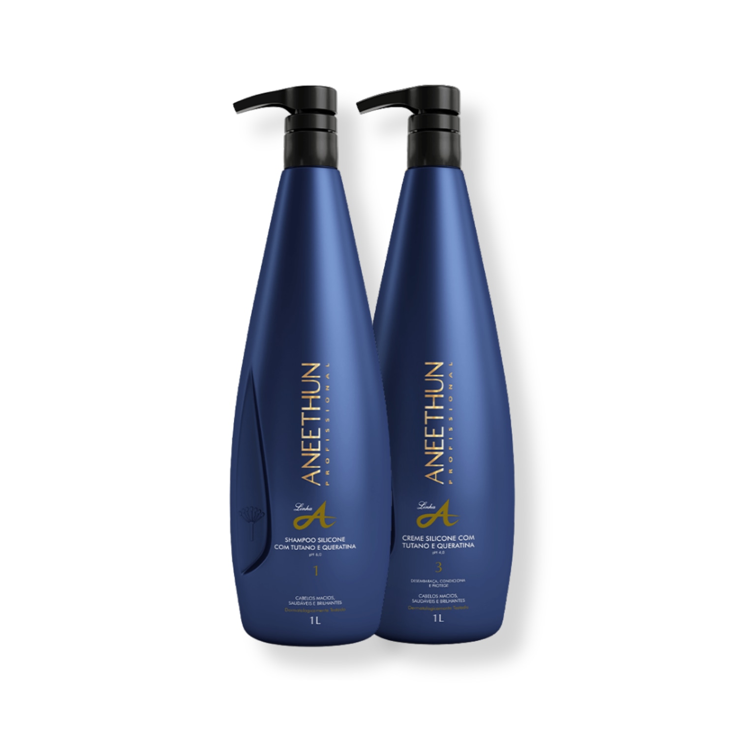 Kit Aneethun Linha A - Shampoo 1L e Creme de Silicone 1L