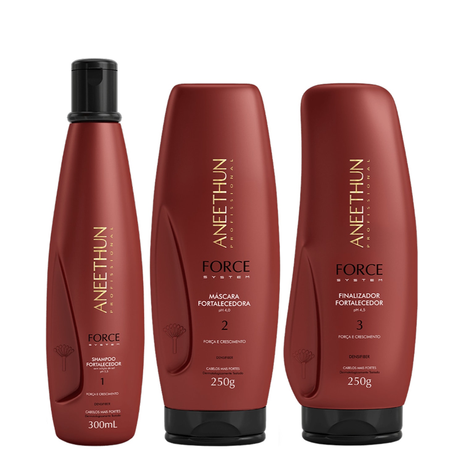 Aneethun Force System Kit Shampoo Finalizador e Máscara Fortalecedora 250g