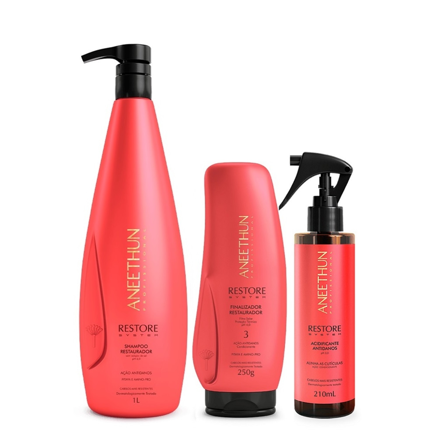 Kit Aneethun Restore System - Shampoo 1L + Finalizador 250g + Acidificante Antidanos 210ml