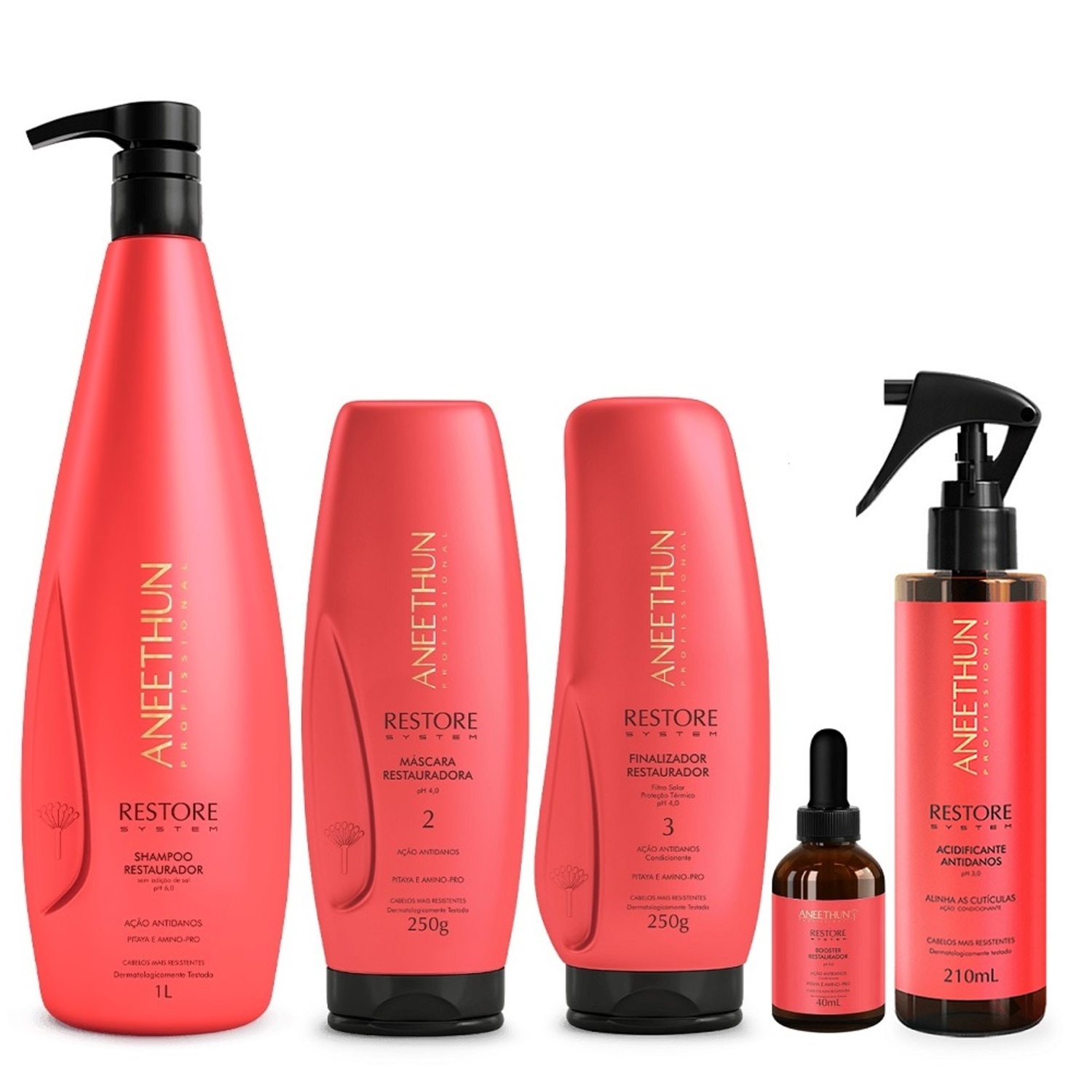 Kit Aneethun Restore System - Shampoo 1L + Máscara 250g + Finalizador 250g + Acidificante 210ml + Booster Capilar 40ml