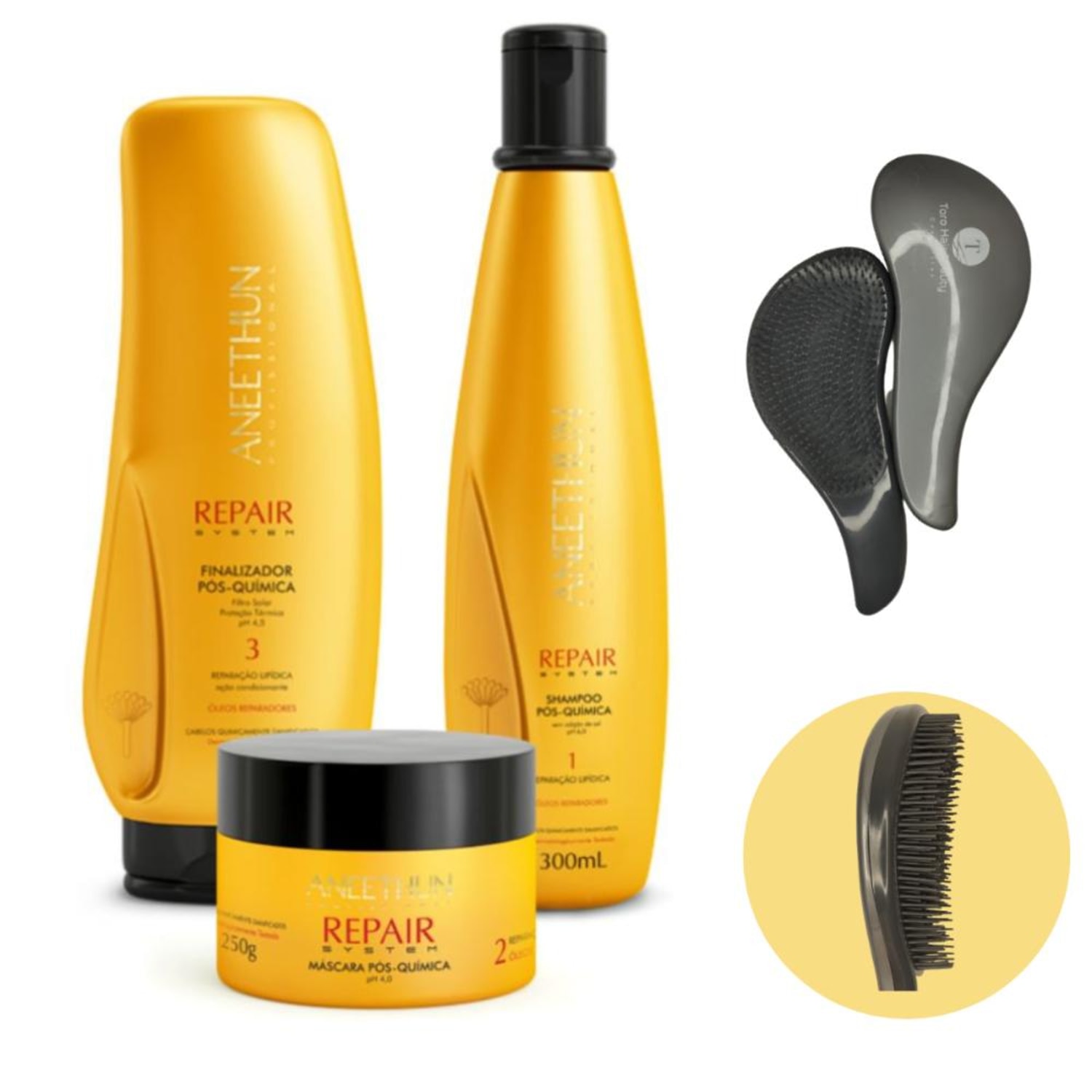 Kit Aneethun Repair System Pós-Química Four (4 Produtos)