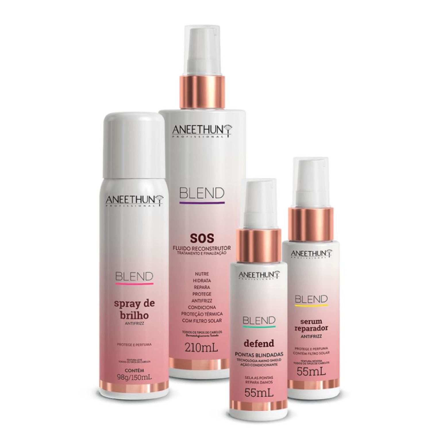 Kit Aneethun Blend Multicuidados Quarteto (4 Produtos)
