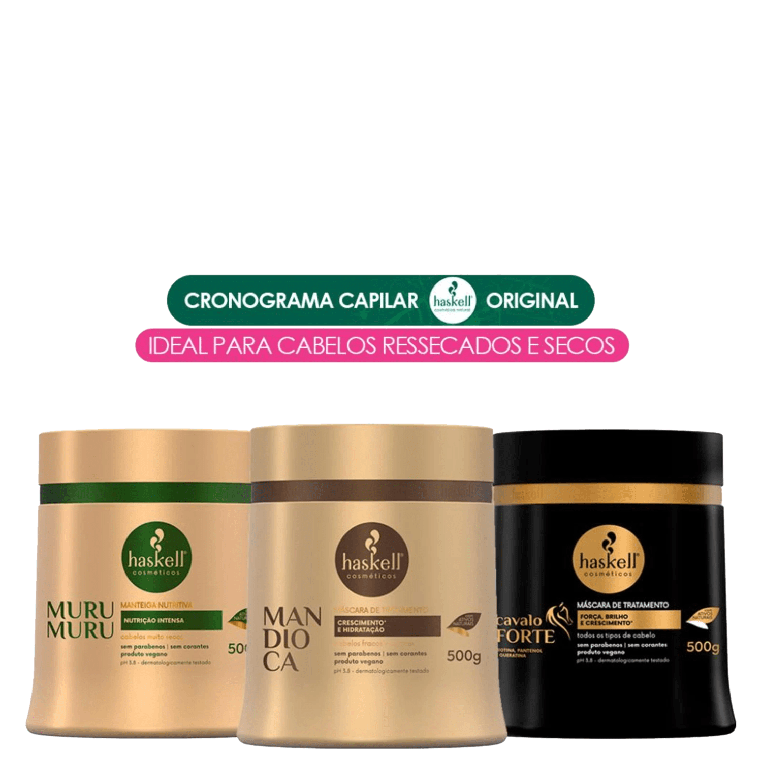 Kit Haskell Cronograma para Cabelos Secos e Ressecados (3 Produtos)