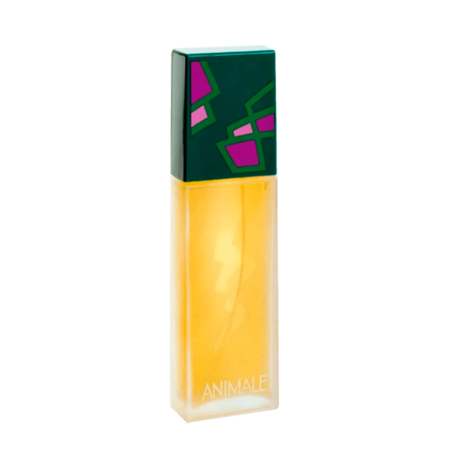 Animale Eau de Parfum - Perfume Feminino 200 ml