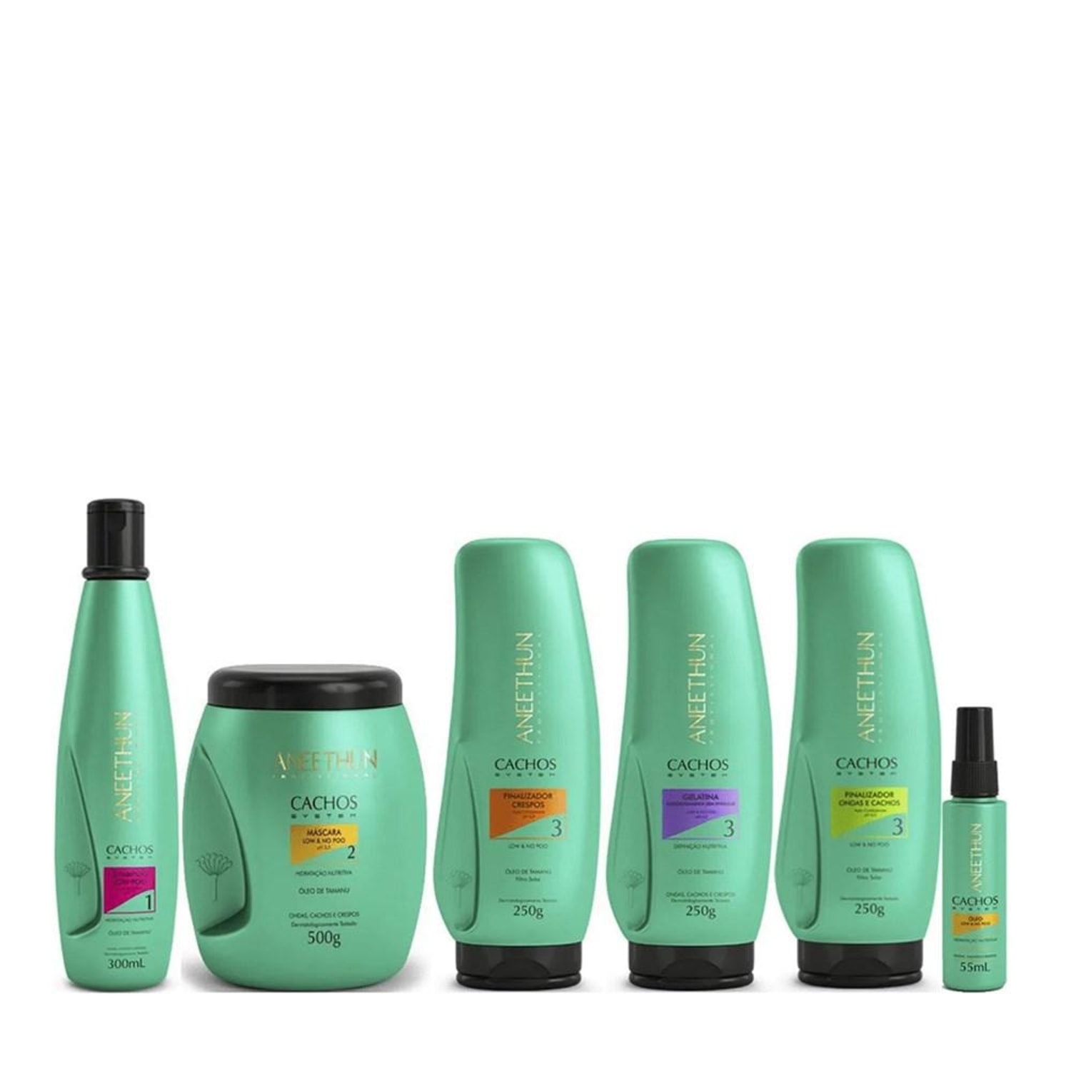 Kit Aneethun Cachos System Tratamento Completo (6 Produtos)