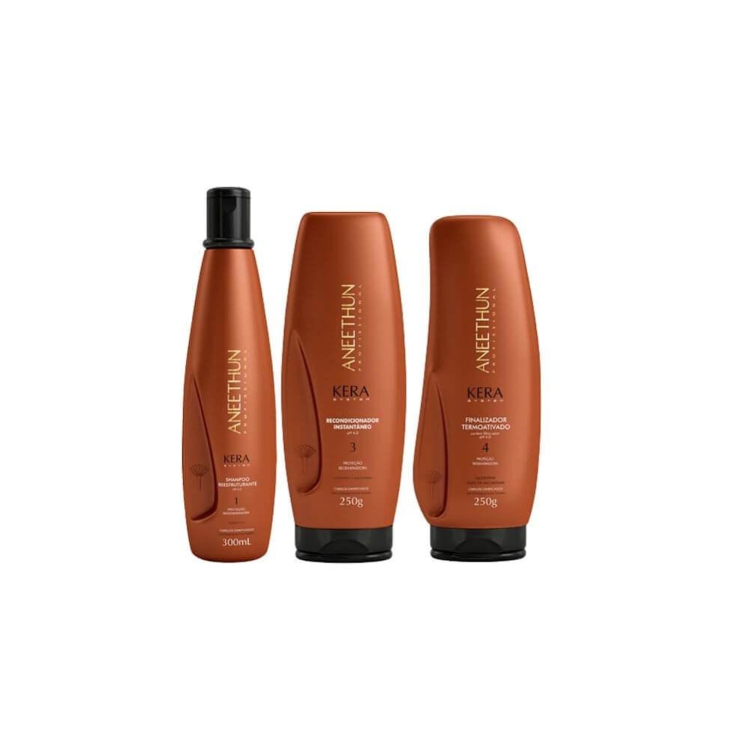 Kit Aneethun Kera System Trio Power (3 Produtos)