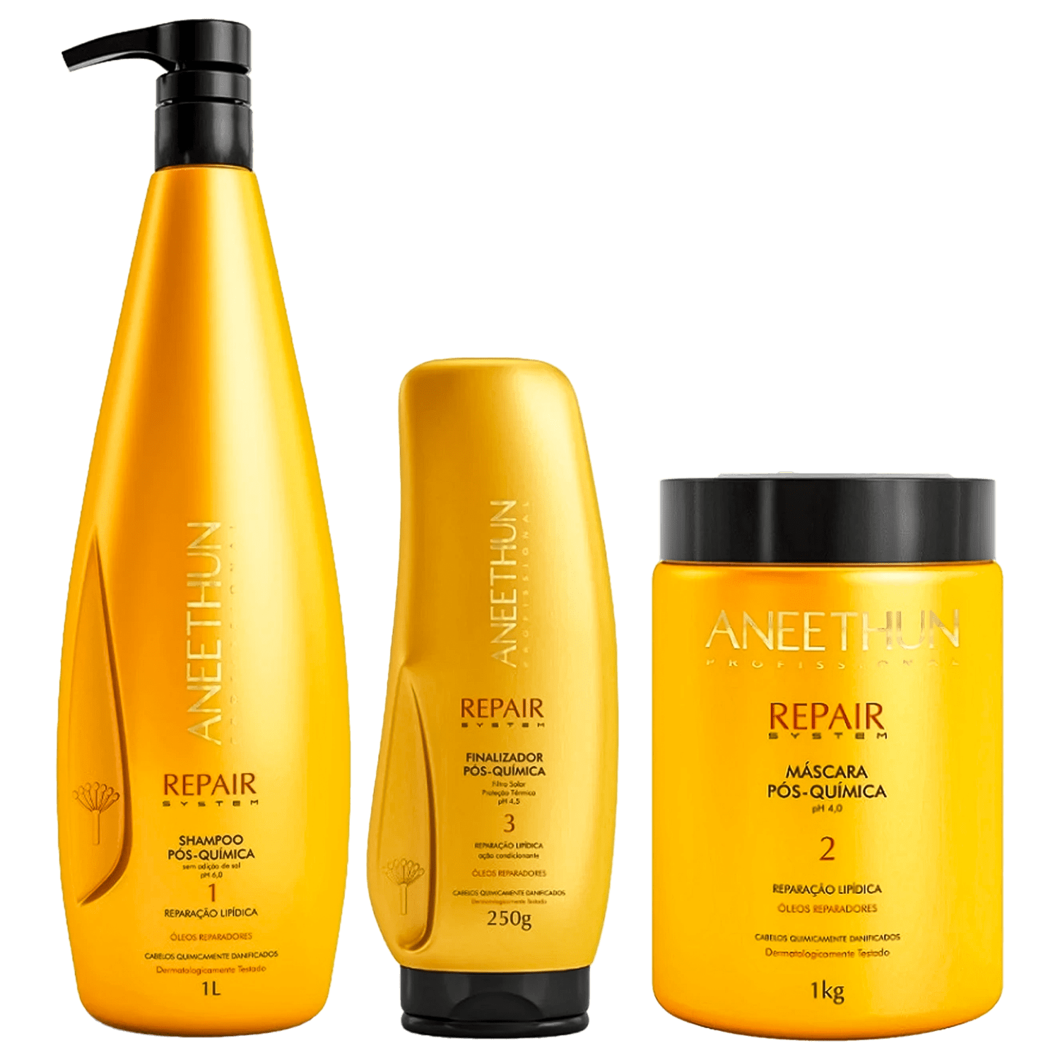 Kit Aneethun Repair System Pós-Química Shampoo 1000ml + Finalizador 250ml + Máscara 1000g