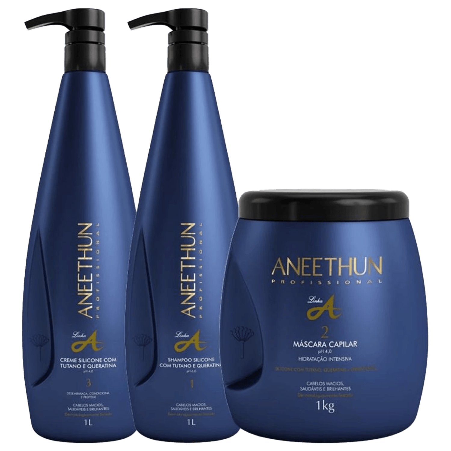 Kit Aneethun Linha A Shampoo 1000ml + Creme de Silicone 1000ml + Máscara 1000g