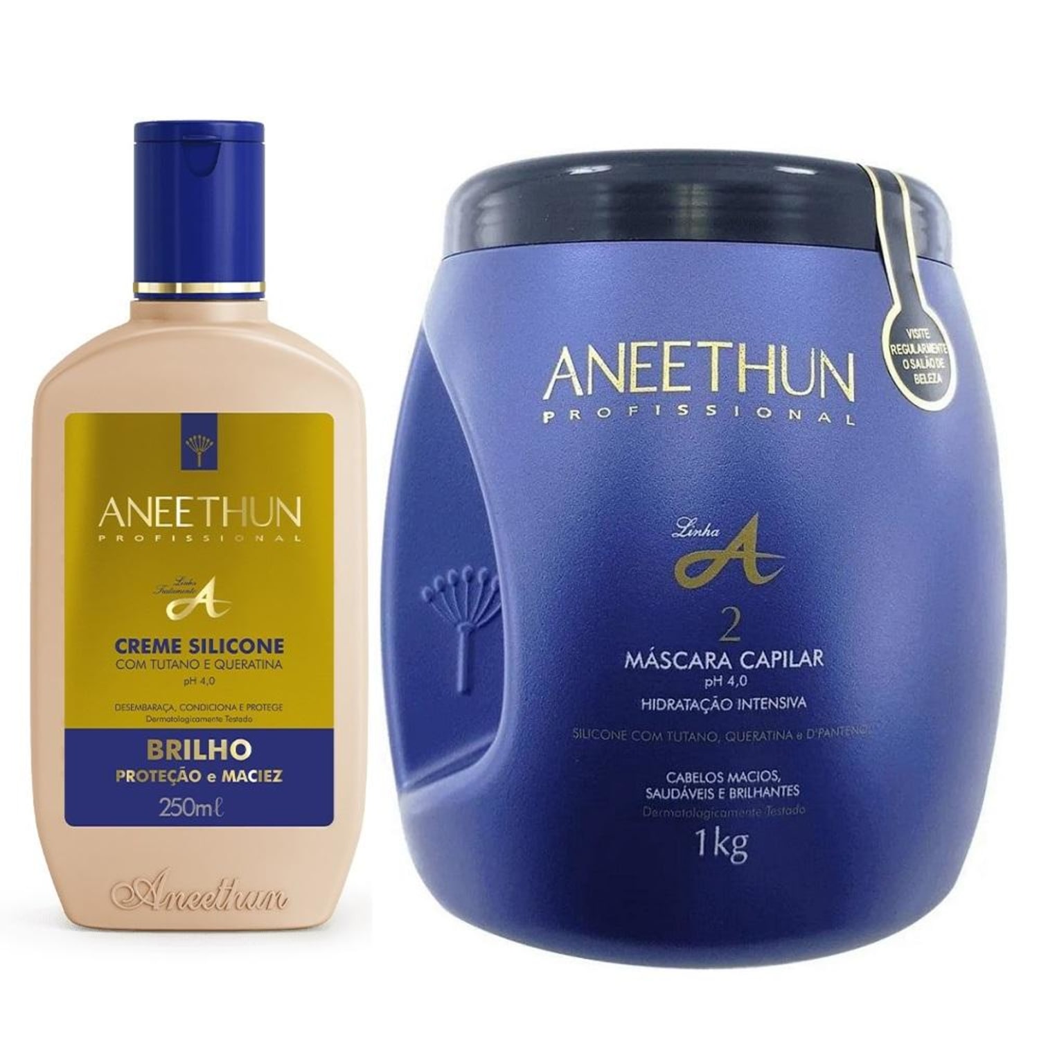 Kit Aneethun Linha A Creme de Brilho 250ml + Máscara 1000