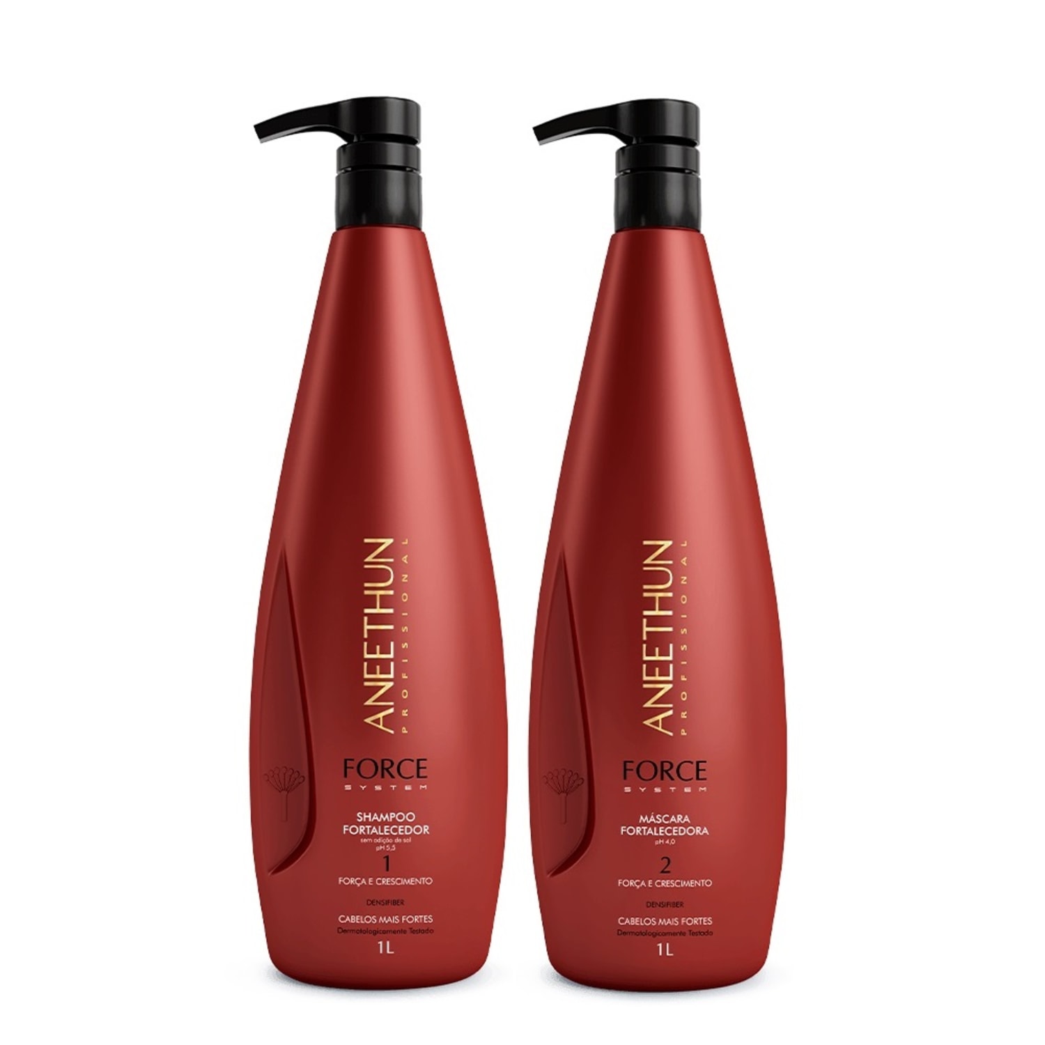 Kit Aneethun Force System Super Treatment (2 Produtos)