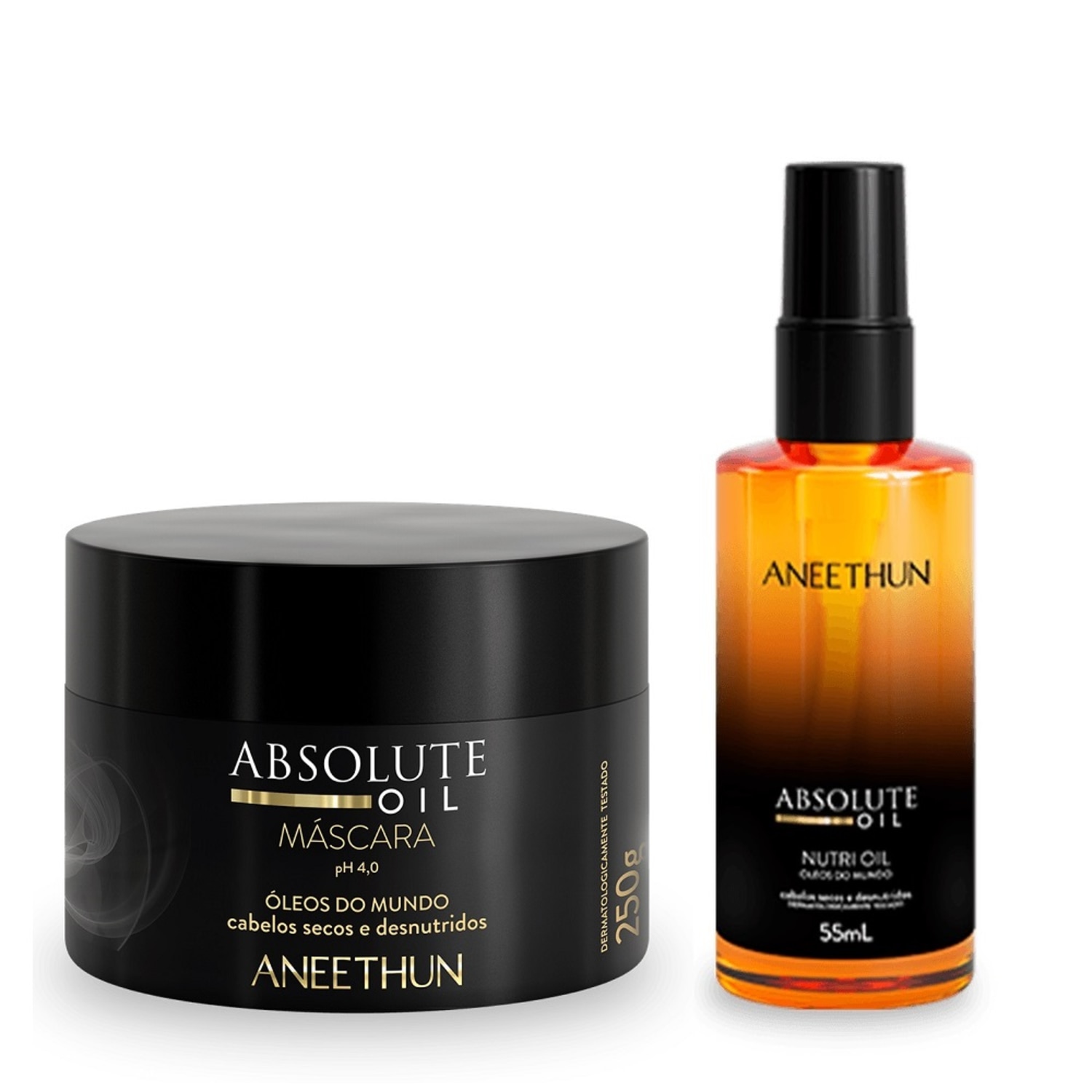 Kit Aneethun Absolute Oil Máscara 250g + Óleo 55ml